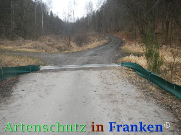 Bild zum Eintrag (72664-160)