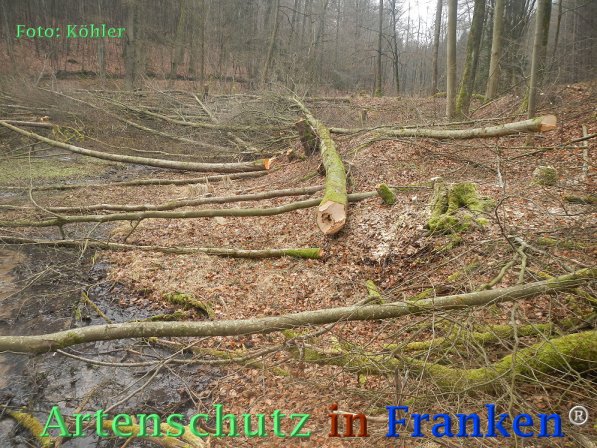 Copyright AiF Thomas Köhler Bild zum Eintrag (72672-160)
