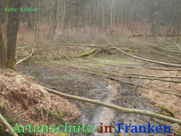Copyright AiF Thomas Köhler Bild zum Eintrag (72673-160)