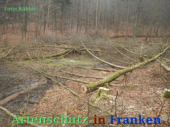 Copyright AiF Thomas Köhler Bild zum Eintrag (72674-160)