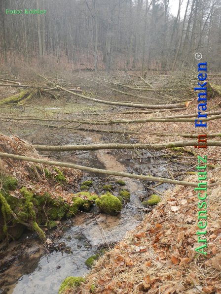 Copyright AiF Thomas Köhler Bild zum Eintrag (72676-160)