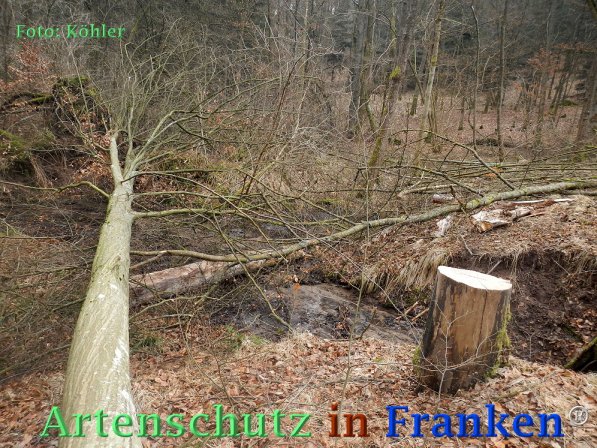 Copyright AiF Thomas Köhler Bild zum Eintrag (72678-160)