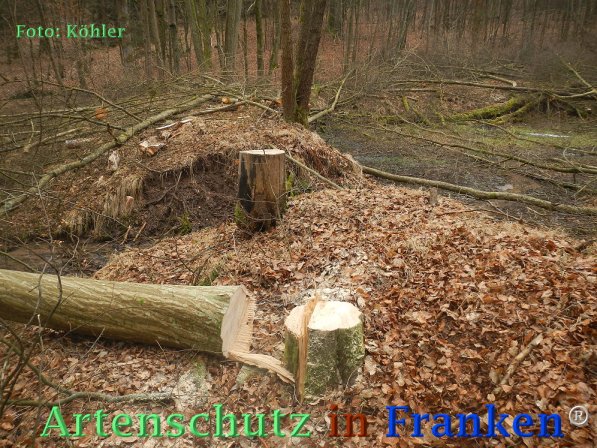 Copyright AiF Thomas Köhler Bild zum Eintrag (72679-160)