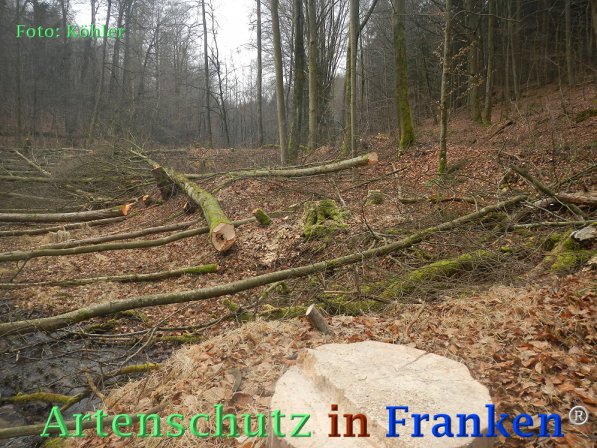 Copyright AiF Thomas Köhler Bild zum Eintrag (72680-160)