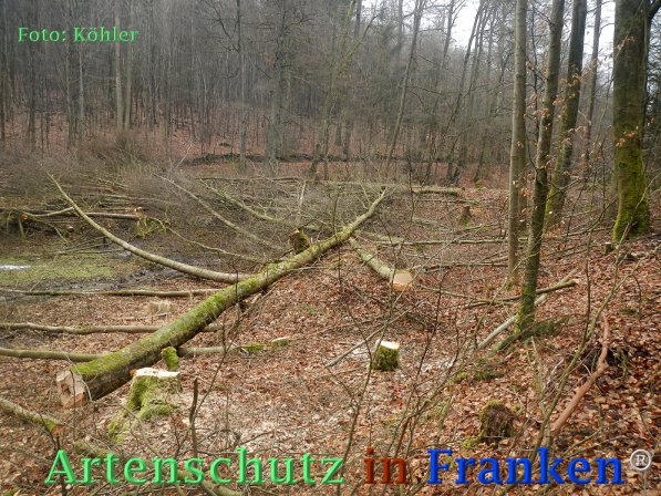 Copyright AiF Thomas Köhler Bild zum Eintrag (72681-160)