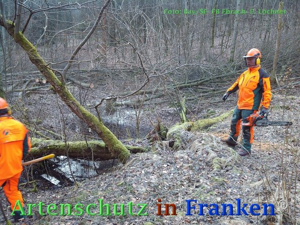 Copyright AiF Bay-SF Fabian Löchner Bild zum Eintrag (72755-160)