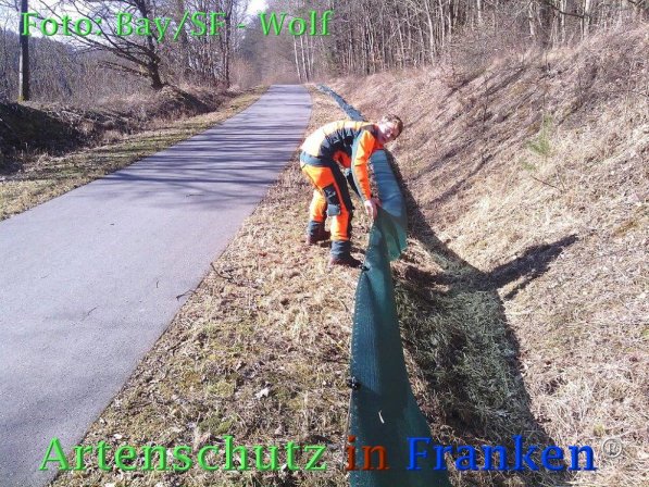 Copyright AiF Bay-SF Michael Wolf Bild zum Eintrag (72778-160)