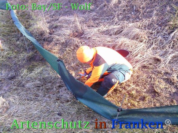Copyright AiF Bay-SF Michael Wolf Bild zum Eintrag (72779-160)