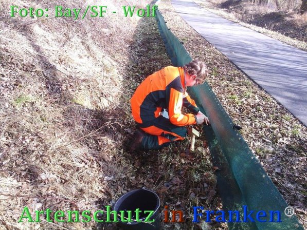 Copyright AiF Bay-SF Michael Wolf Bild zum Eintrag (72780-160)