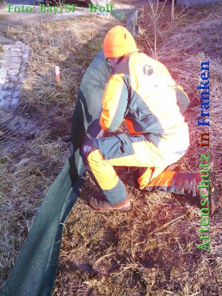 Copyright AiF Bay-SF Michael Wolf Bild zum Eintrag (72781-160)
