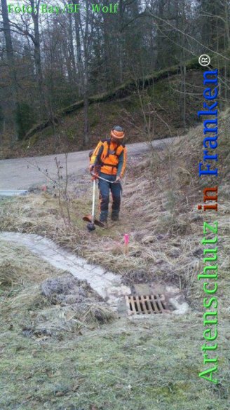 Copyright AiF Bay-SF Michael Wolf Bild zum Eintrag (72783-160)