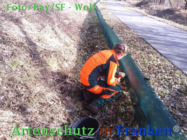 Copyright AiF Bay-SF Michael Wolf Bild zum Eintrag (72784-160)