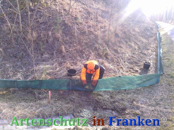Copyright AiF Bay-SF Michael Wolf Bild zum Eintrag (72785-160)