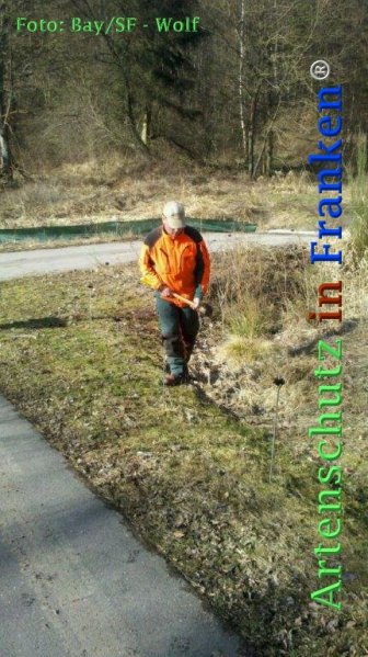 Copyright AiF Bay-SF Michael Wolf Bild zum Eintrag (72788-160)