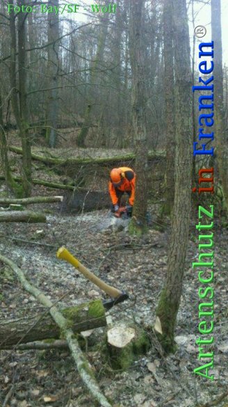 Copyright AiF Bay-SF Michael Wolf Bild zum Eintrag (72793-160)