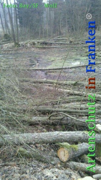Copyright AiF Bay-SF Michael Wolf Bild zum Eintrag (72794-160)