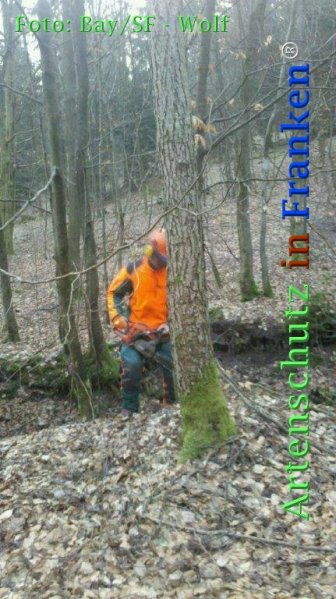 Copyright AiF Bay-SF Michael Wolf Bild zum Eintrag (72798-160)