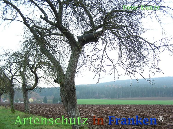 Bild zum Eintrag (72900-160)