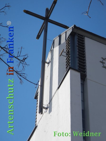 Copyright AiF Klaus Weidner Bild zum Eintrag (72908-160)
