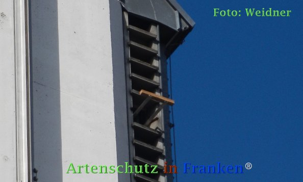 Copyright AiF Klaus Weidner Bild zum Eintrag (72909-160)