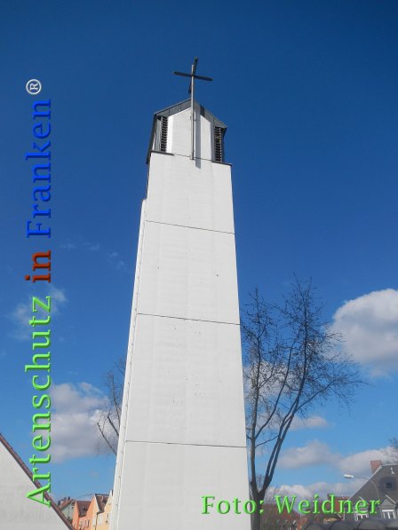 Copyright AiF Klaus Weidner Bild zum Eintrag (72910-160)