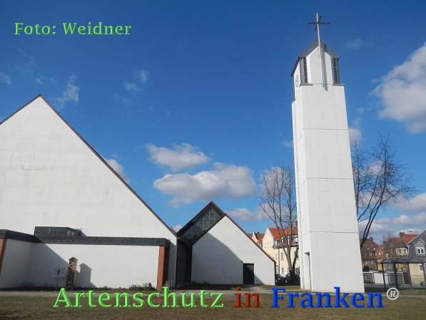Copyright AiF Klaus Weidner Bild zum Eintrag (72911-160)