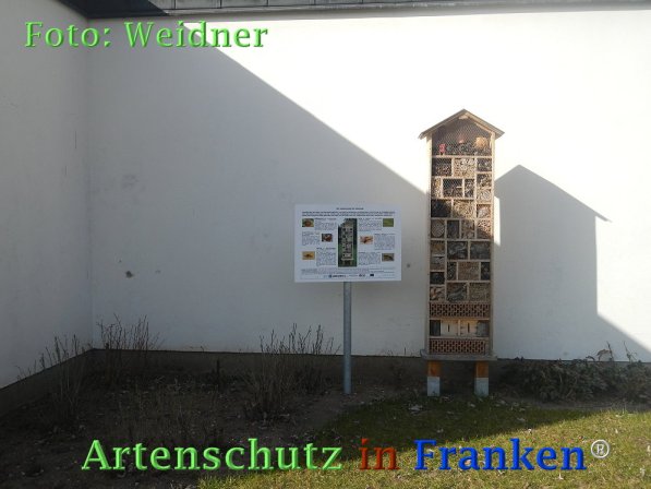 Copyright AiF Klaus Weidner Bild zum Eintrag (72912-160)
