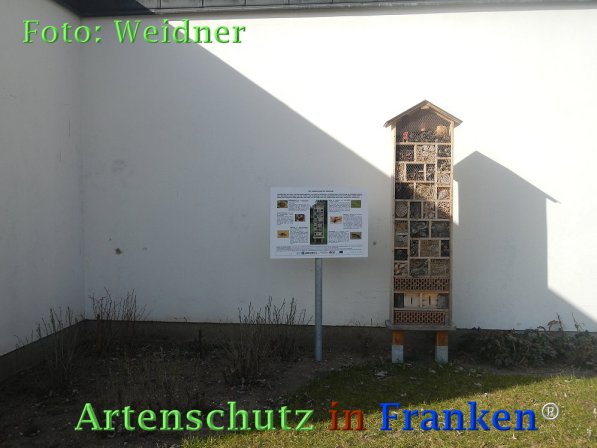 Bild zum Eintrag (72912-160)