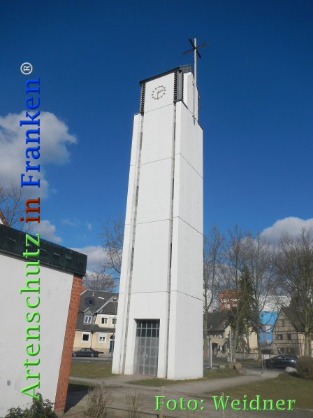 Copyright AiF Klaus Weidner Bild zum Eintrag (72913-160)