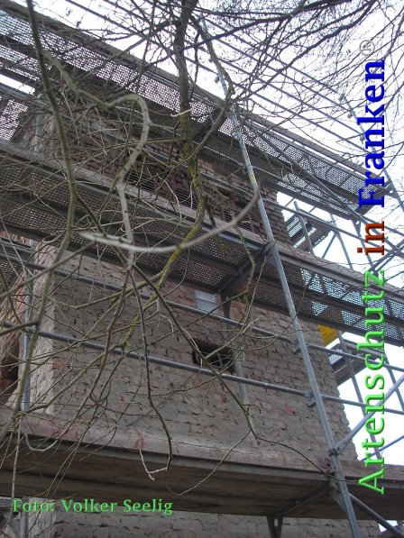 Copyright AiF Seelig Bild zum Eintrag (73016-160)