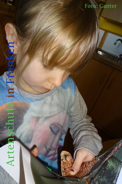 Copyright AiF Ganter Bild zum Eintrag (73087-160)
