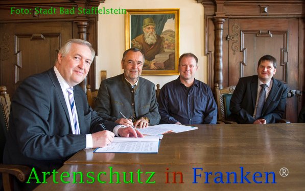 Copyright AiF Stadt Bad Staffelstein Bild zum Eintrag (73134-160)