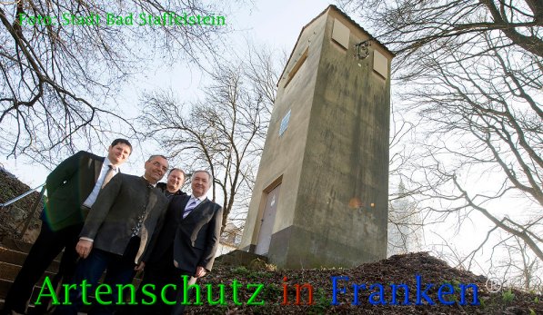 Copyright AiF Stadt Bad Staffelstein Bild zum Eintrag (73135-160)