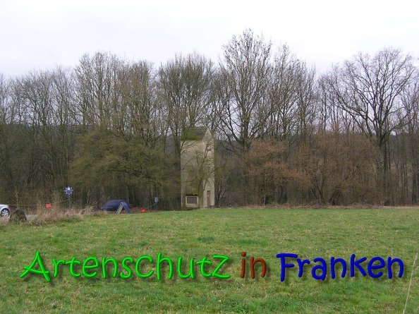 Copyright AiF Kunze Bild zum Eintrag (73136-160)