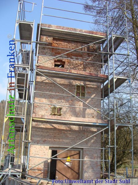 Copyright AiF Umweltamt der Stadt Suhl Bild zum Eintrag (73140-160)