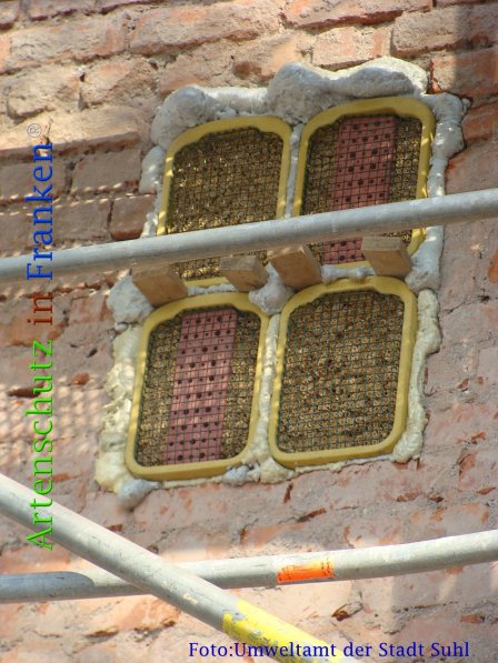 Copyright AiF Umweltamt der Stadt Suhl Bild zum Eintrag (73141-160)