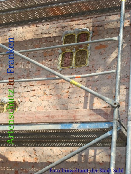 Copyright AiF Umweltamt der Stadt Suhl Bild zum Eintrag (73142-160)