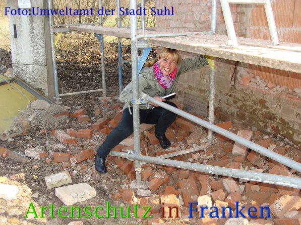 Copyright AiF Umweltamt der Stadt Suhl Bild zum Eintrag (73143-160)