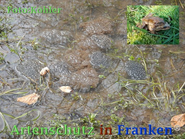 Copyright AiF Thomas Köhler Bild zum Eintrag (73178-160)