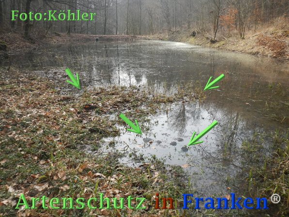 Copyright AiF Thomas Köhler Bild zum Eintrag (73179-160)
