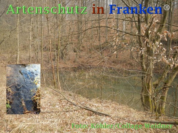Copyright AiF Thomas Köhler Bild zum Eintrag (73181-160)