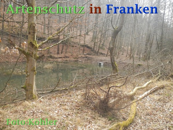 Copyright AiF Thomas Köhler Bild zum Eintrag (73182-160)
