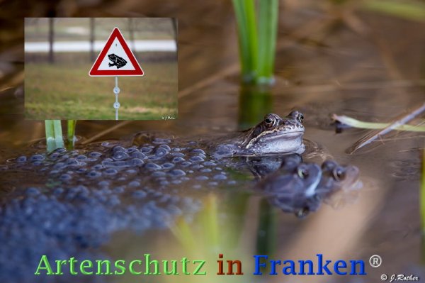 Copyright AiF Johannes Rother Bild zum Eintrag (73266-160)
