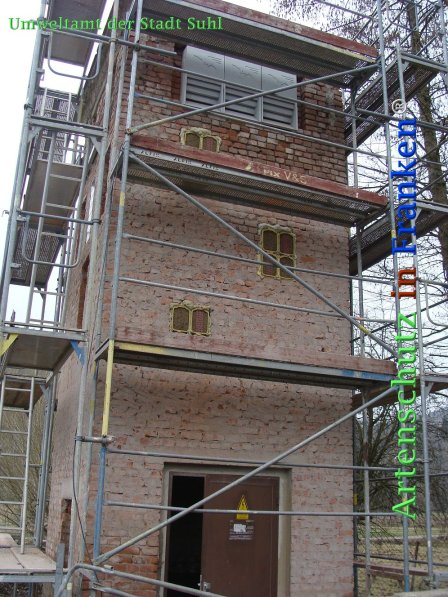 Copyright AiF Umweltamt der Stadt Suhl Bild zum Eintrag (73276-160)