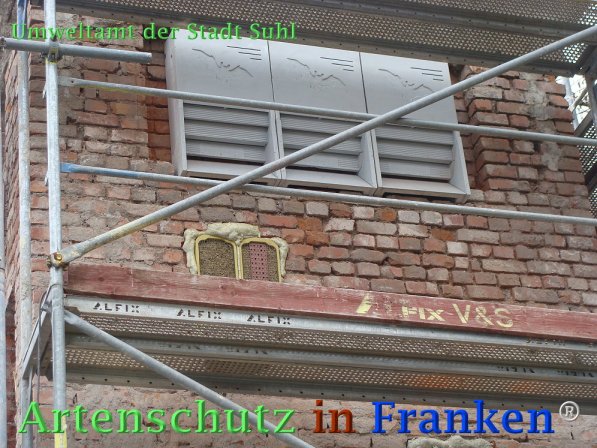 Copyright AiF Umweltamt der Stadt Suhl Bild zum Eintrag (73277-160)