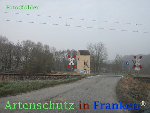 Copyright AiF Thomas Köhler Bild zum Eintrag (73285-160)
