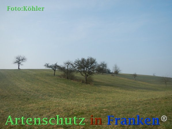 Bild zum Eintrag (73290-160)