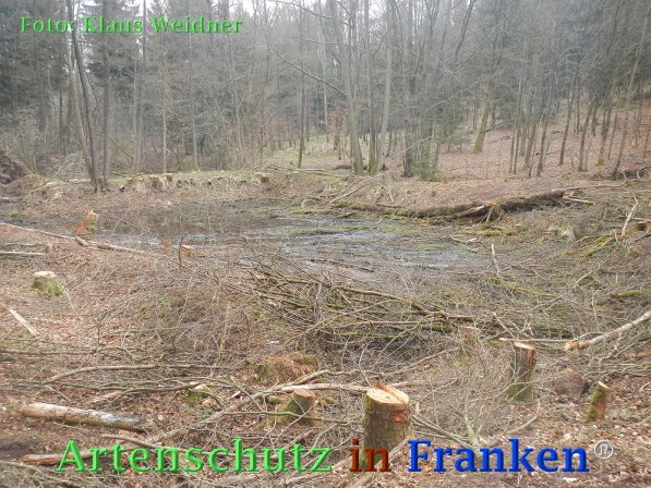 Copyright AiF Klaus Weidner Bild zum Eintrag (73417-160)