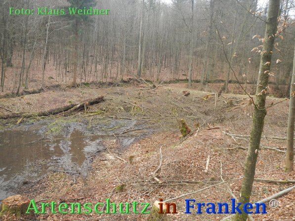 Copyright AiF Klaus Weidner Bild zum Eintrag (73418-160)