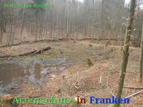 Bild zum Eintrag (73418-160)